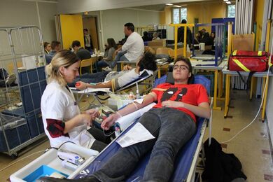 Don sang1